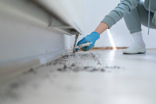 Professional Pest Control in Sand Point, AK